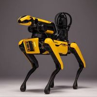 Boston Dynamics