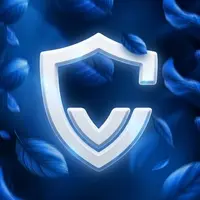 Custos VPN
