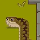 Cusy snake