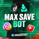 Скачать видео из TikTok | Instagram
