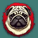 Mops Case(Пустой баланс)