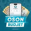 OsonBudget