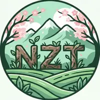 NZT vpn