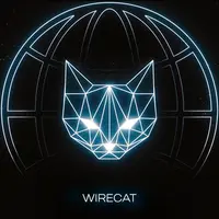 WireCat VPN