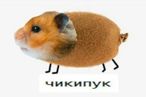 Стикер АХТУНГ!!
