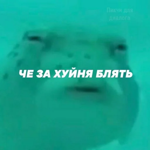 Стикер АХТУНГ!!