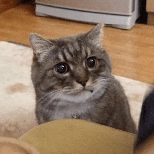 Стикер Абстрактные стикеры для споров с дедом