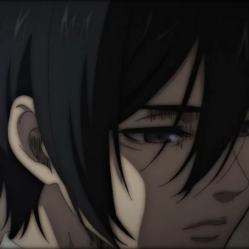 Стикер Ackerman Mikasa