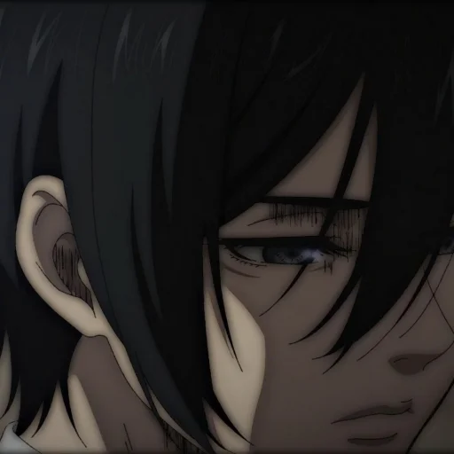 Стикер Ackerman Mikasa