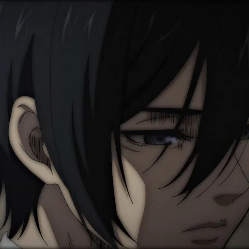 Стикер Ackerman Mikasa