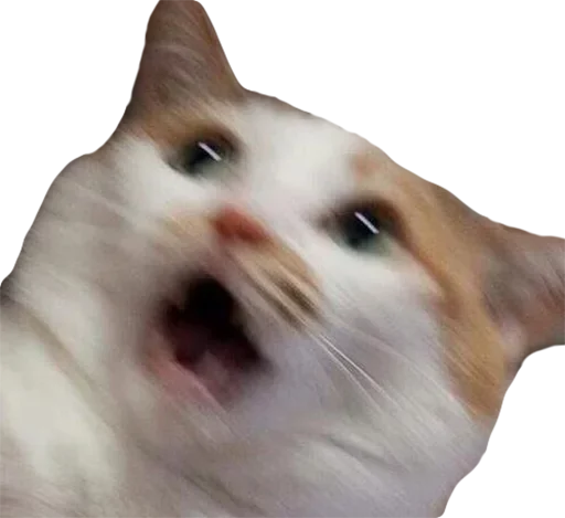 Стикер Шмыхло