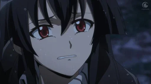 Стикер Akame ga Kill