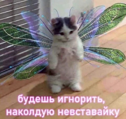 Стикер Котики