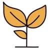 🌱