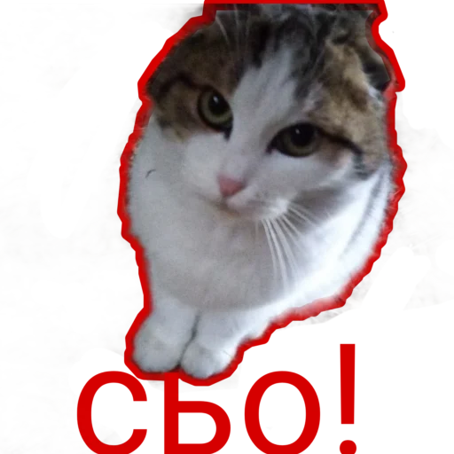 Стикер Муська myrzik