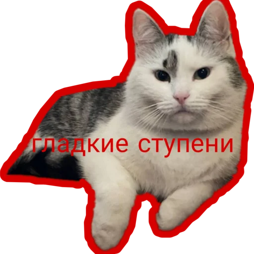 Стикер Муська myrzik