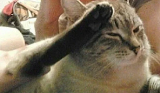 Стикер ArePek memes