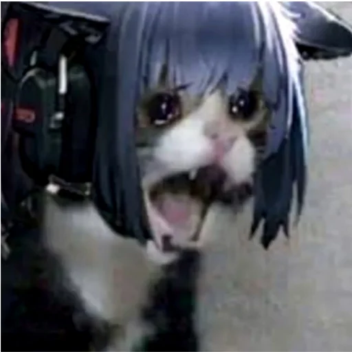 Стикер Arknights cursed meme