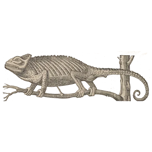 Стикер Art Animals