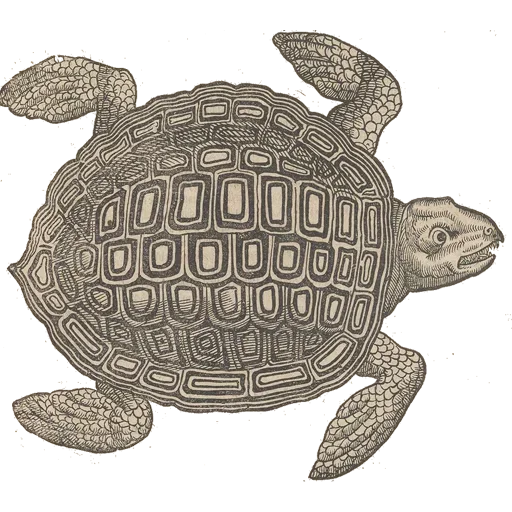 Стикер Art Animals