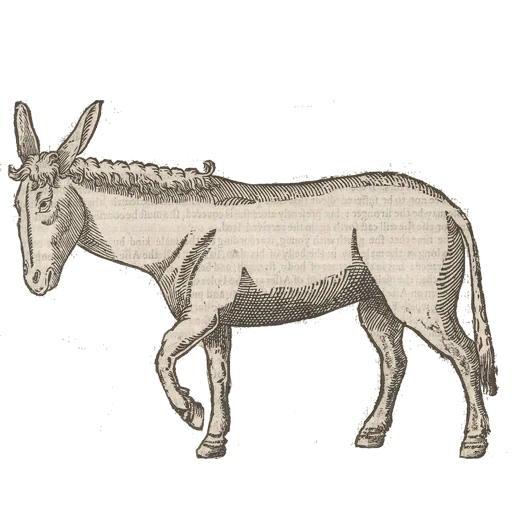 Стикер Art Animals