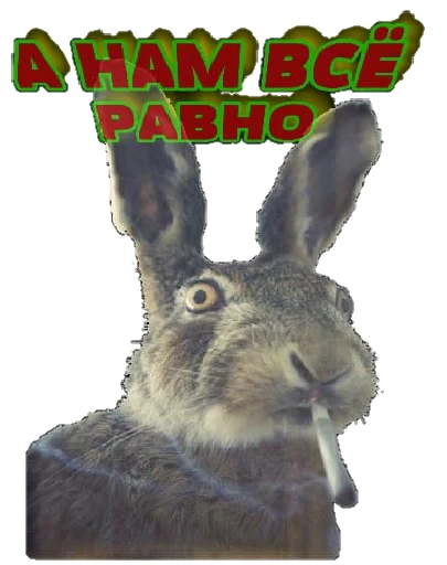 Стикер Разное