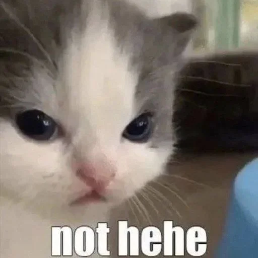 Стикер Bahmet's pack