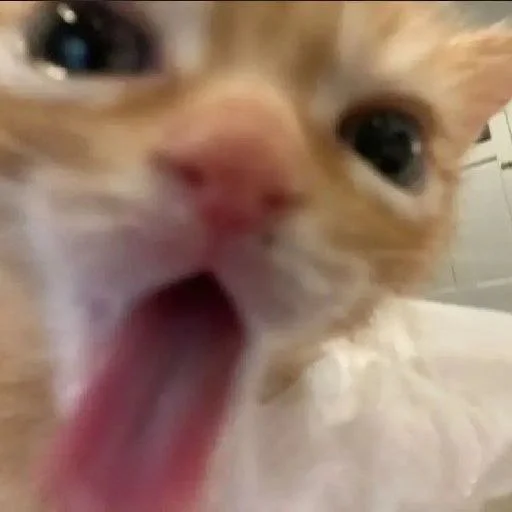 Стикер Bahmet's pack