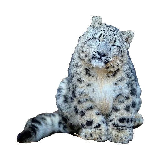 Стикер BarsFukuBaby