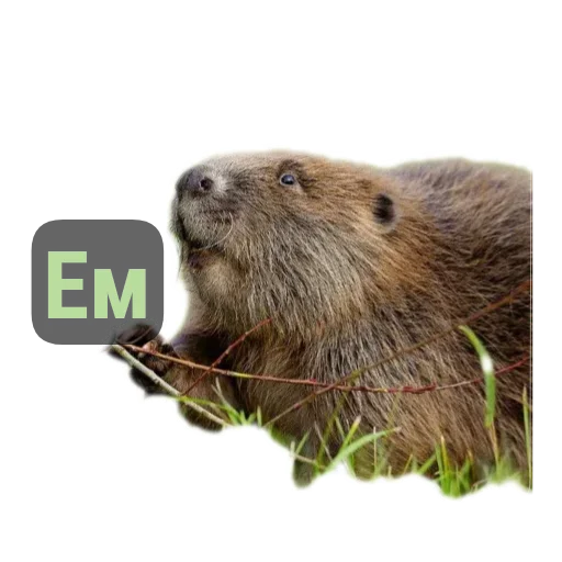 Стикер Бобры Милашки