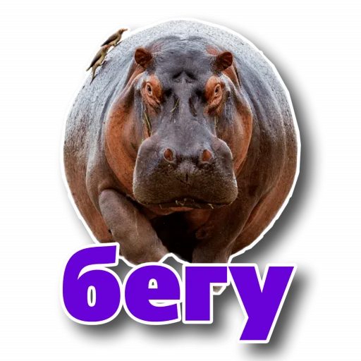 Стикер Behemoth