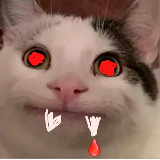 Стикер Beluga 🌚🌝