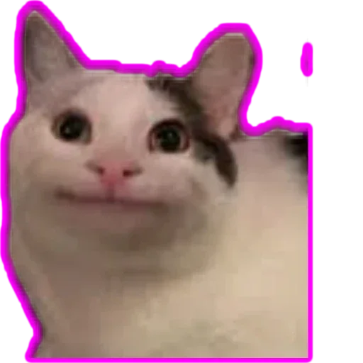 Стикер Beluga 🌚🌝