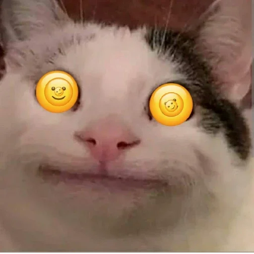 Стикер Beluga 🌚🌝