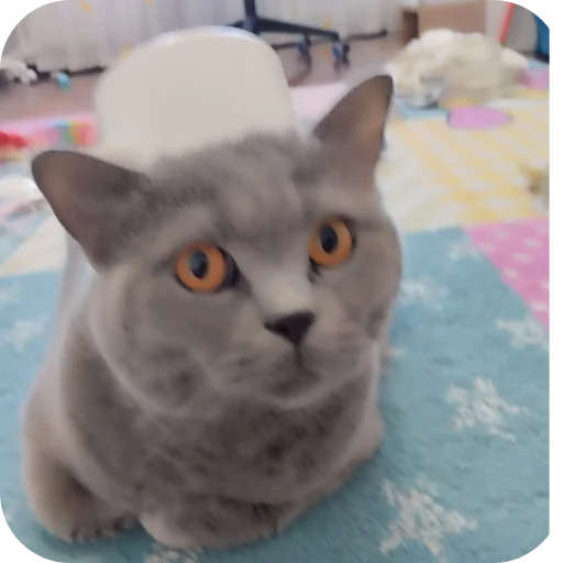 Стикер Тедди