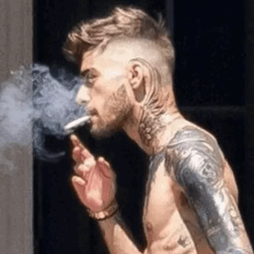 Стикер Зейн Малик