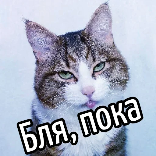 Стикер Ну Бля