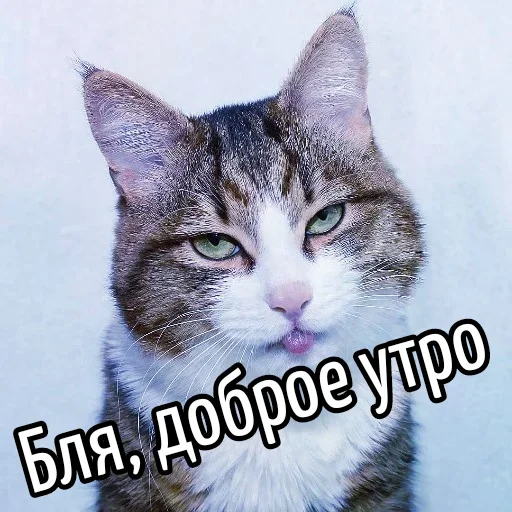 Стикер Ну Бля