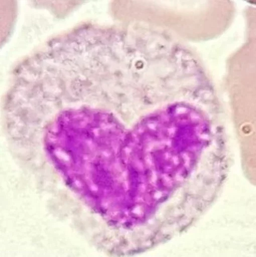 Стикер Blood mood