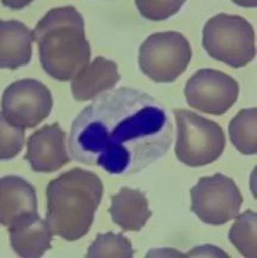 Стикер Blood mood