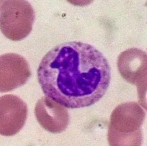 Стикер Blood mood