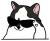 Стикер Bo-Bo Cat
