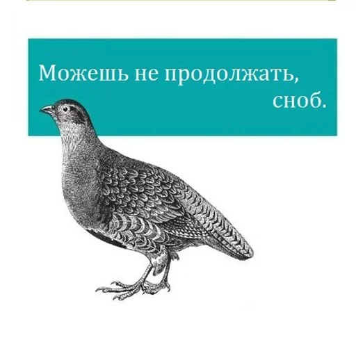 Стикер Bookshelf Memes