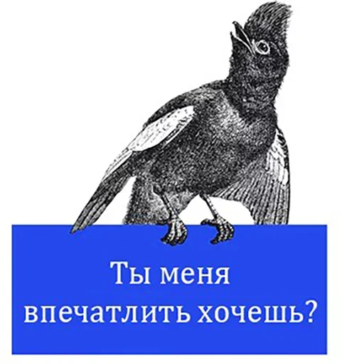 Стикер Bookshelf Memes