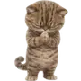 Эмодзи Brown cat