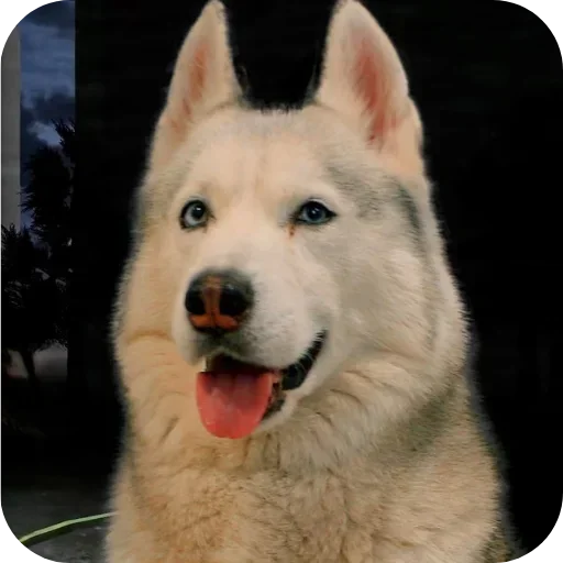 Стикер Бублик Бандит Коржик Кекс