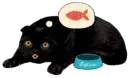 Стикер Кот Бублик