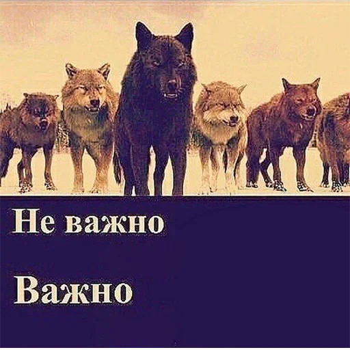 Стикер Be a wolf