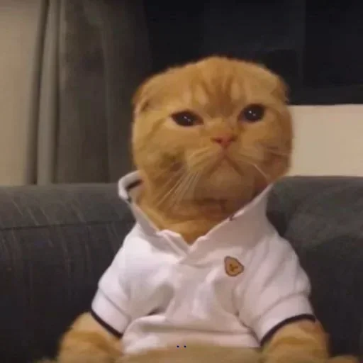 Стикер Bullshit