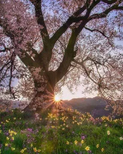 Стикер Castle Of Music Love music